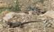 imgp7589_small.jpg
