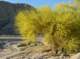 imgp7594_small.jpg
