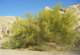 imgp7595_small.jpg