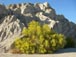 imgp7596_small.jpg