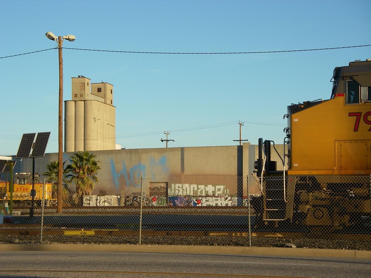 imgp8484.jpg