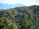 imgp8557_small.jpg
