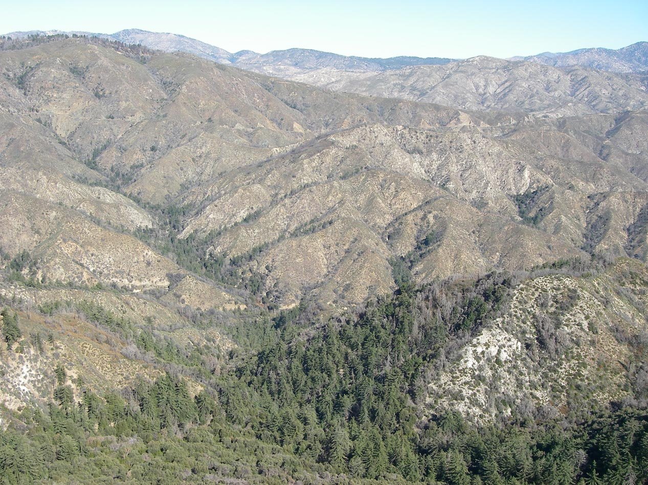 imgp8565.jpg