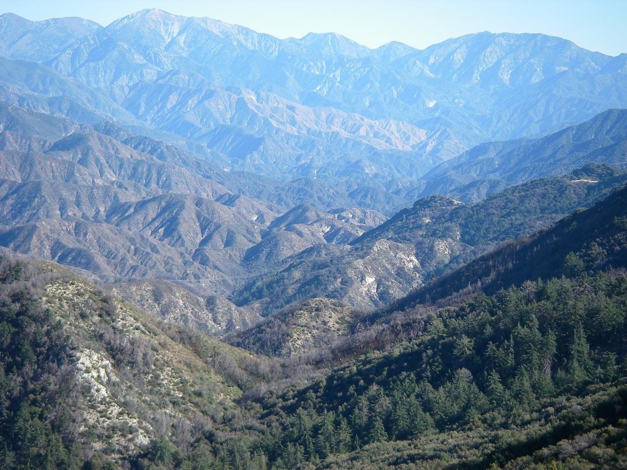 imgp8567.jpg