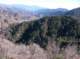 imgp8569_small.jpg