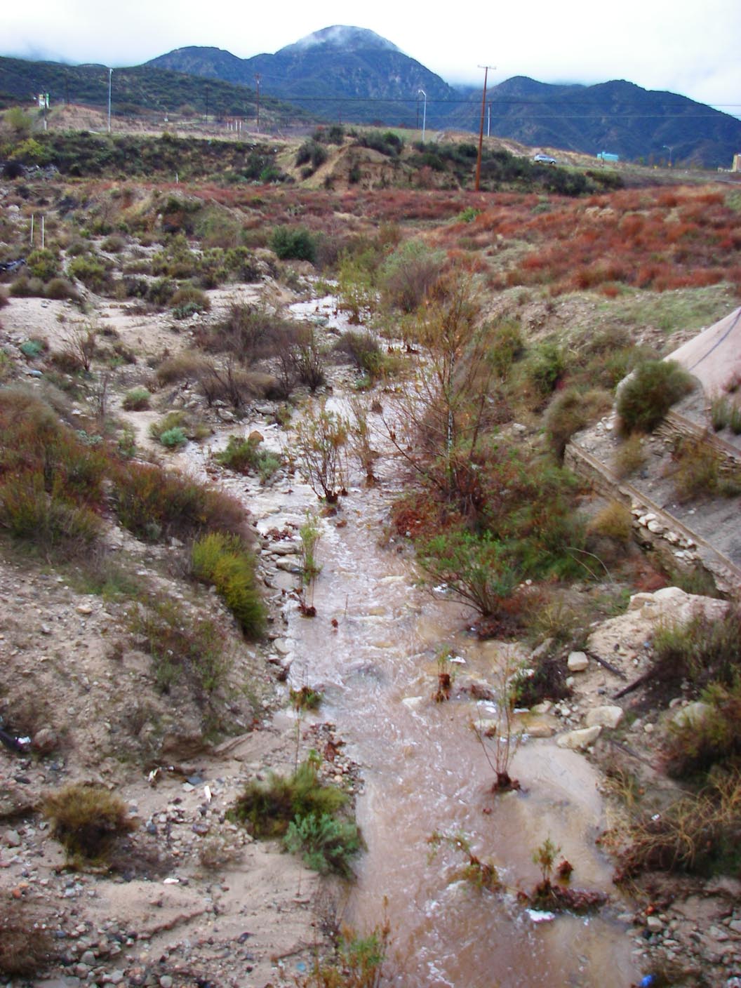 Dry wash in Temescal Canyon flowing after rains 1/22/2010