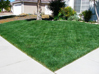First lawn cut of spring is always the most beautiful 3/17/2010