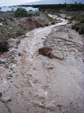 Horsethief Canyon Wash flowing after storms 12/22/2010