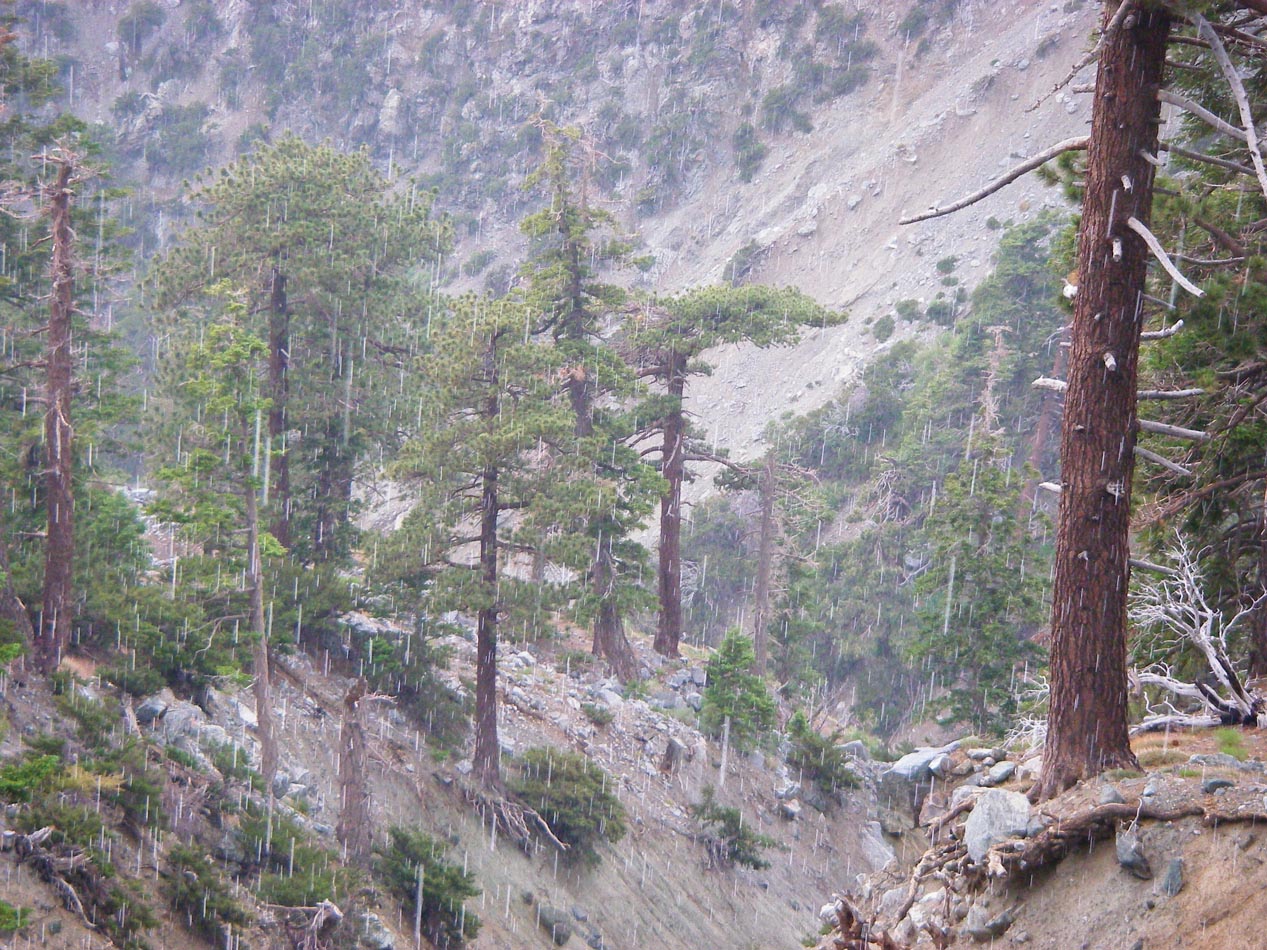 Half way up Mt. Baldy a hail and thunder storm blew over the mountain top 7/6/2011