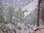 Half way up Mt. Baldy a hail and thunder storm blew over the mountain top 7/6/2011