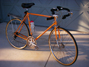 My bicycle I bought from a buddy in 1980 for $100 2/22/2012