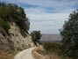 View east from Indian Truck Trail 7/18/2012