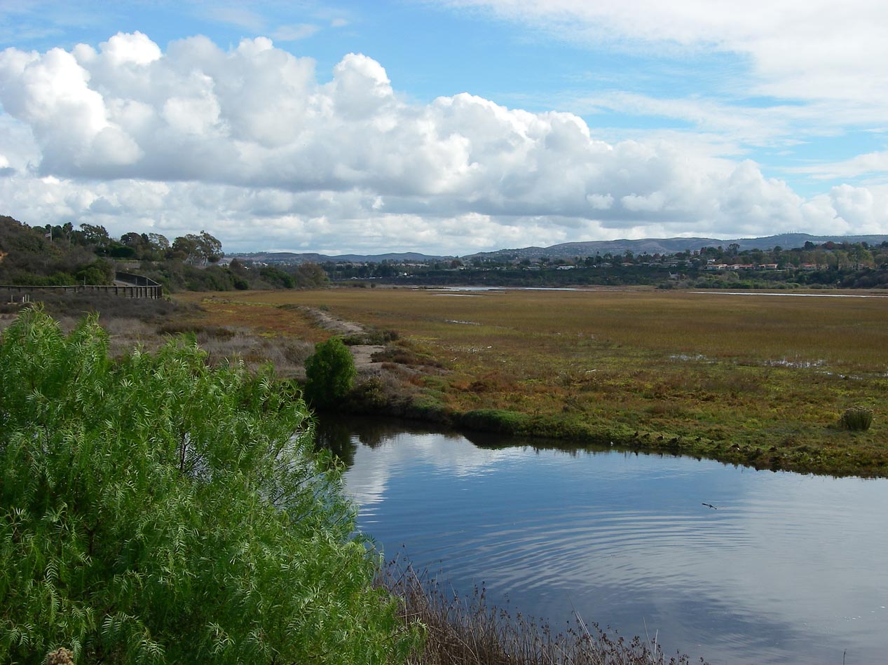Newport Back Bay 11/17/2012