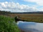 Newport Back Bay 11/17/2012