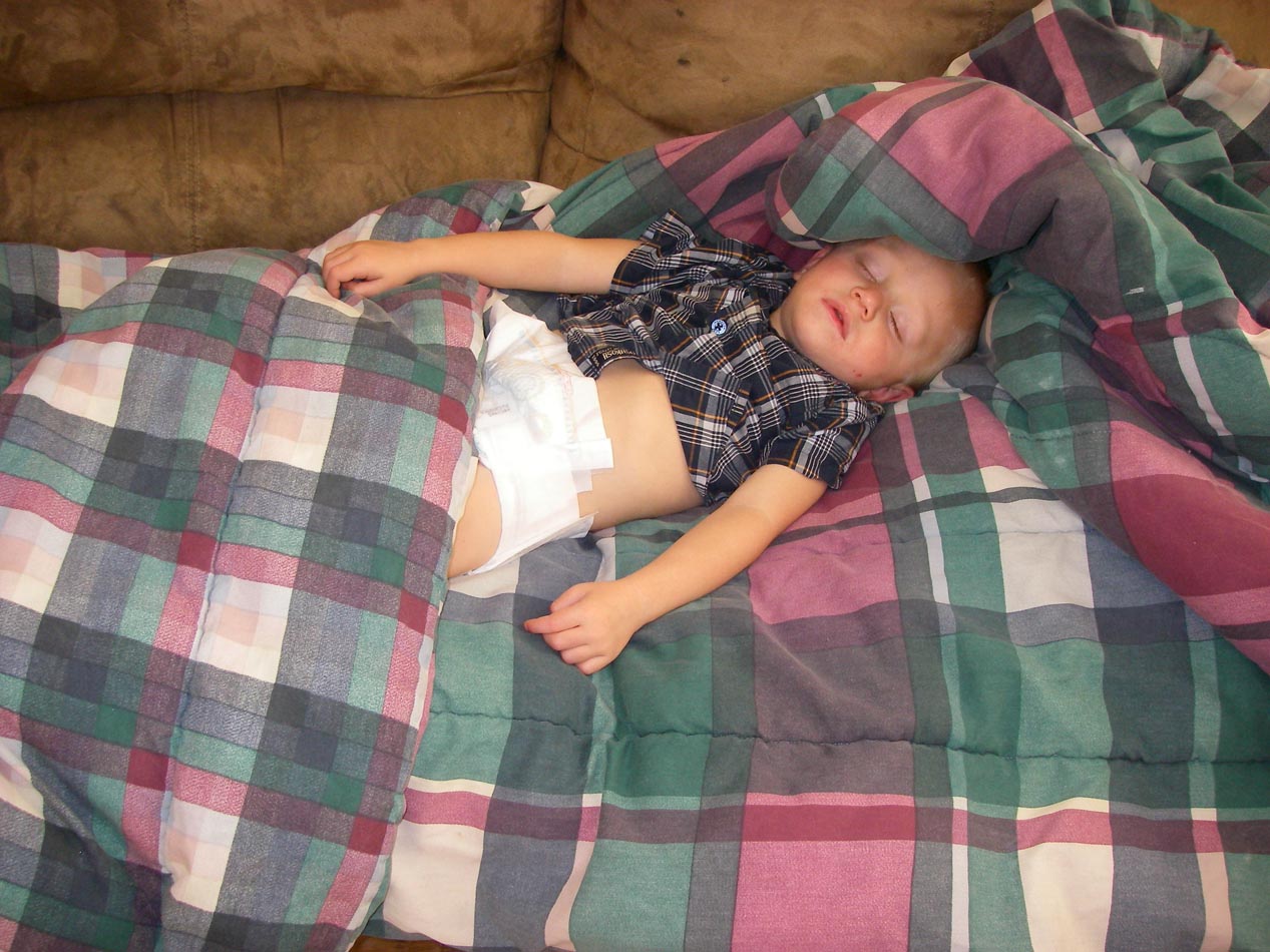 Thanksgiving festivities wore out baby Talon 11/22/2012