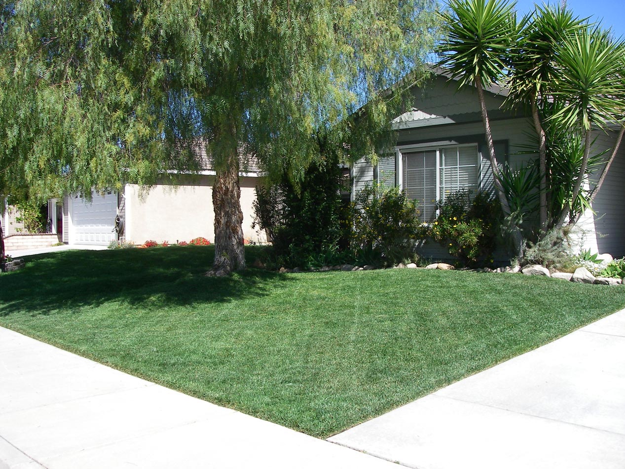 First lawn cut of spring 4/16/2013