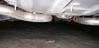 Alligator lizard in my garage 10/23/2013