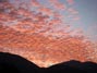 Lovely sunset over Santiago Peak taken from my driveway 10/23/2013