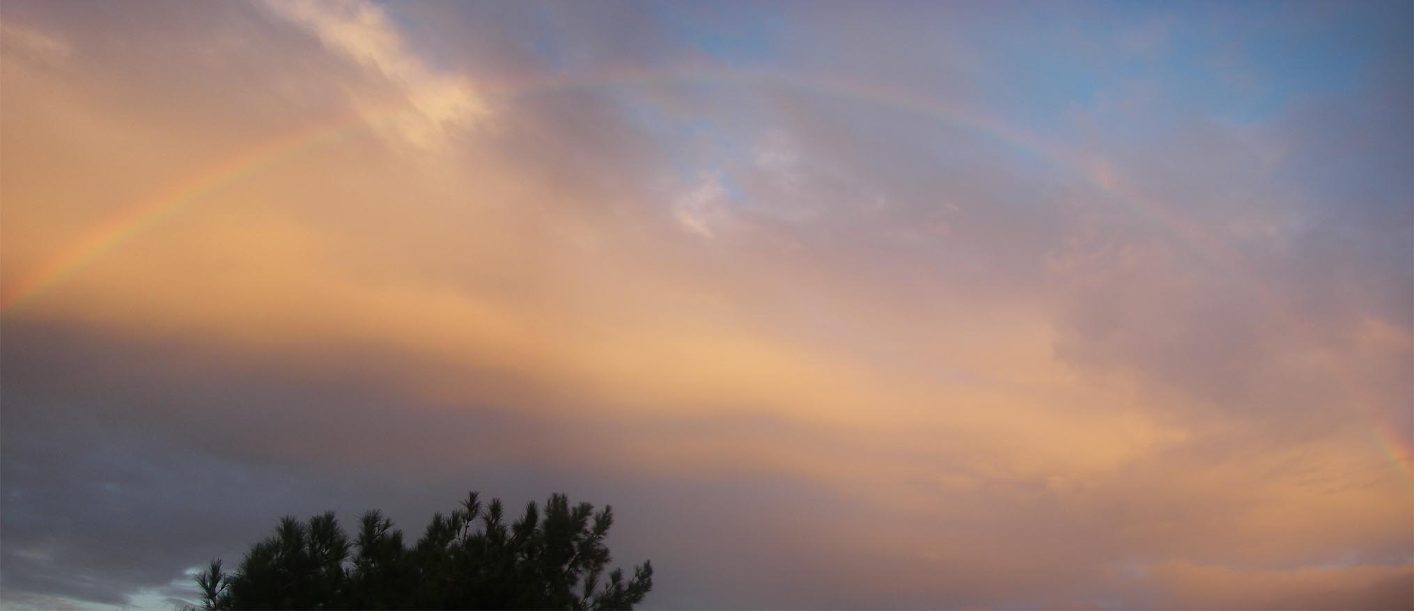 Rainbow for the holiday outside my backyard 11/29/2013