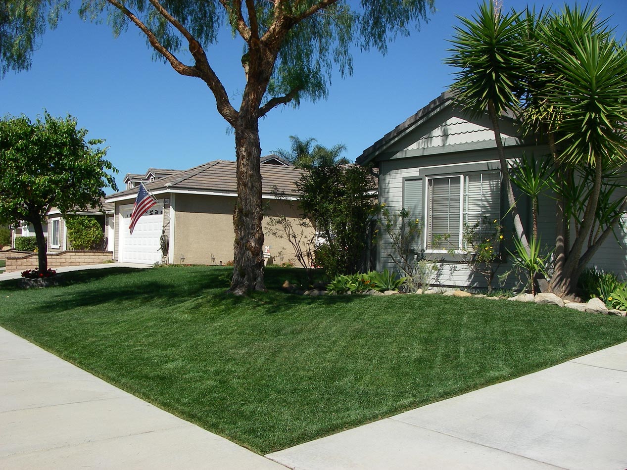First lawn cut of spring 3/14/2014
