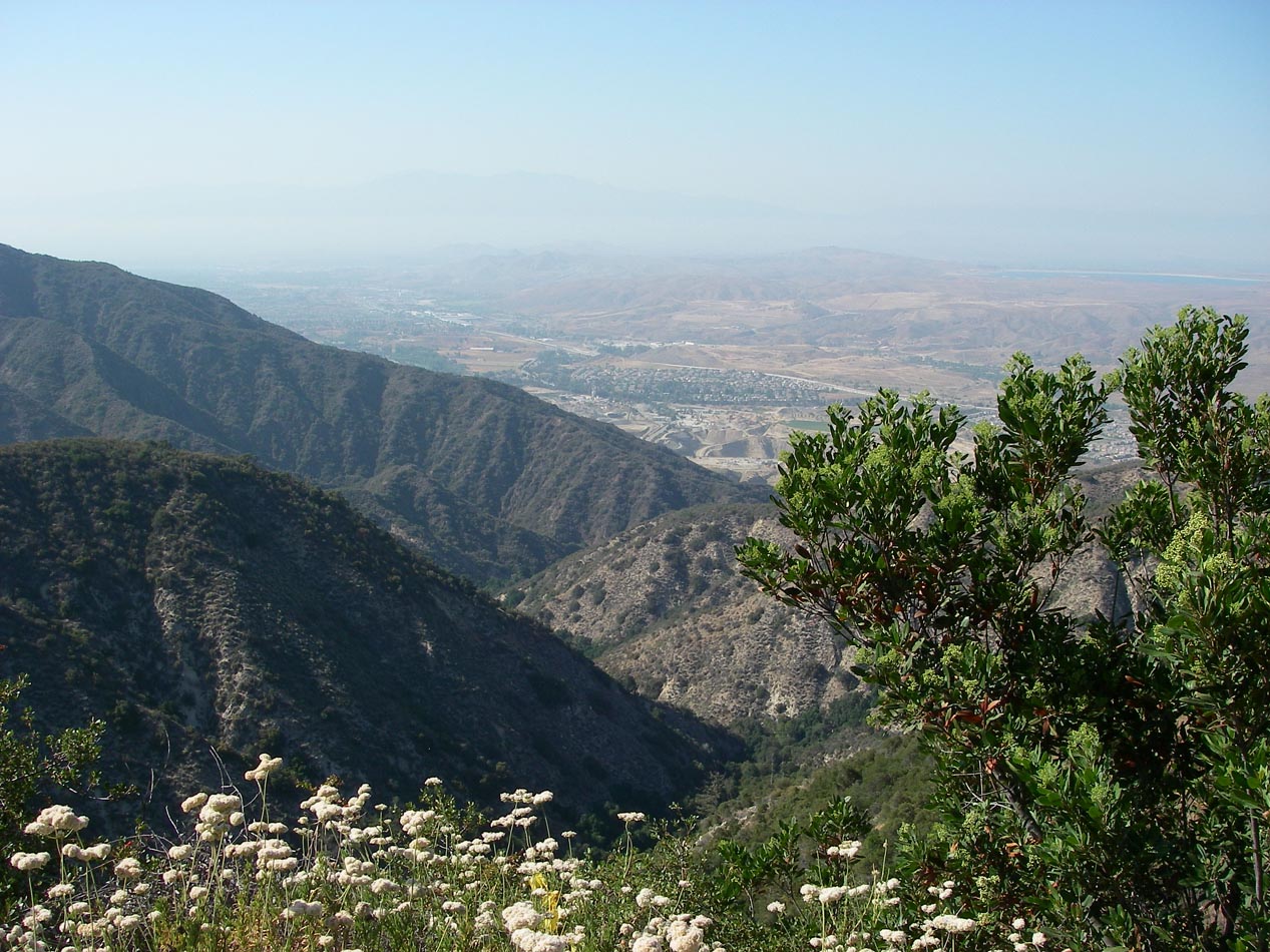 View looking north from Indian Truck Trail of South Corona 6/9/2014