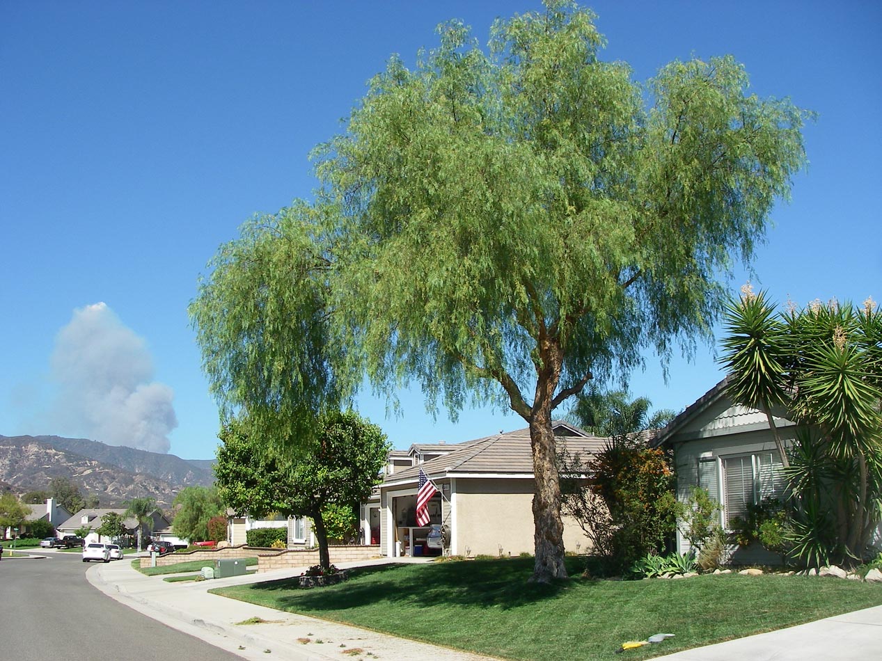 Silverado Fire just starting Friday morning as seen from my house 9/12/2014 