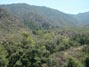 View of Horsethief Canyon back country Santa Ana Mountains 6/21/2015