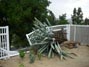 Wind storm knocked over my agave 6/30/2015