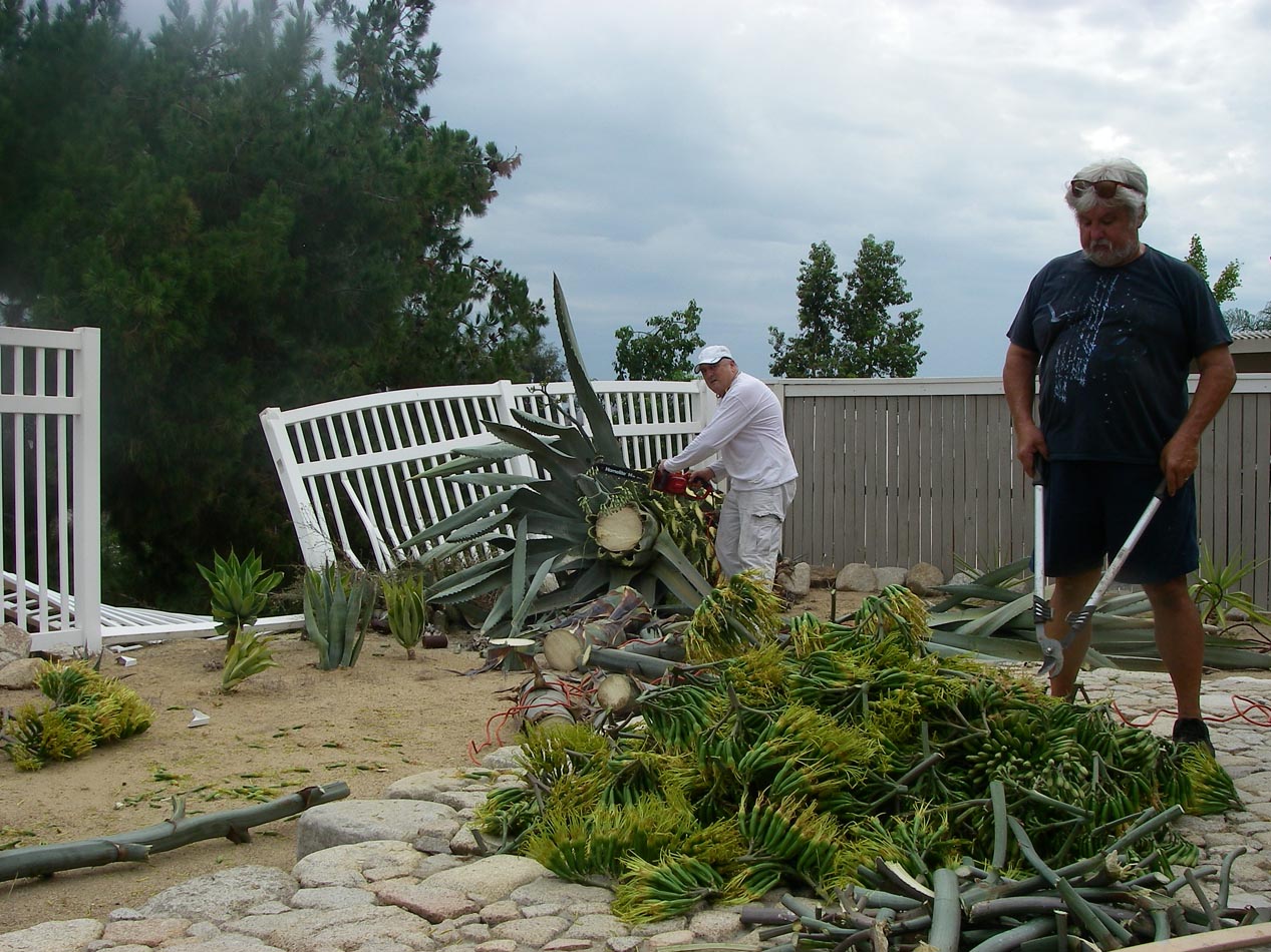 Good neighbor Ken helping cut up the agave 7/1/2015
