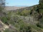 Lovely day in Horsethief Canyon near my house with San Gorgonio in the backdrop 2/24/2016