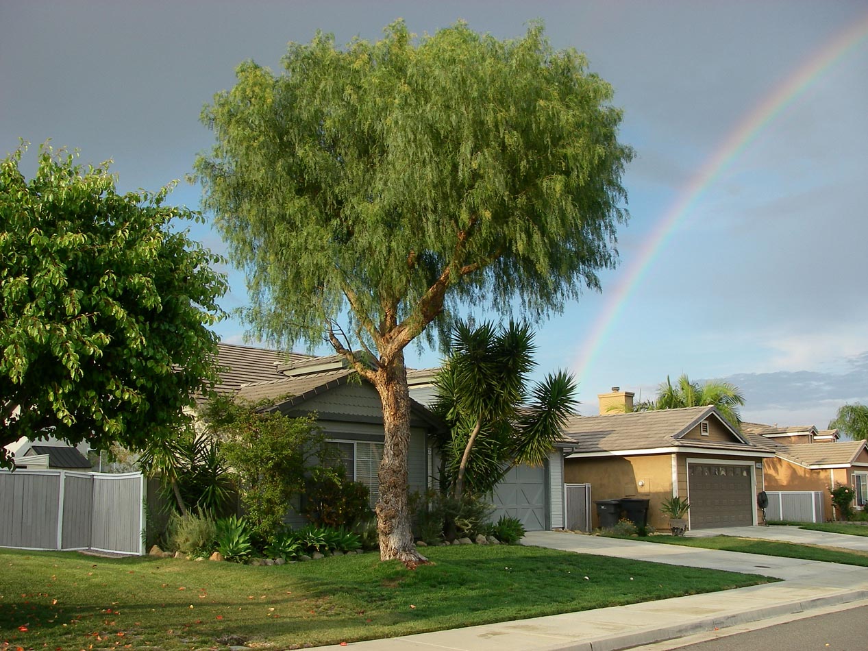 Rainbows and lolipops in my 'hood 4/11/2016