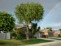 Rainbows and lolipops in my 'hood 4/11/2016