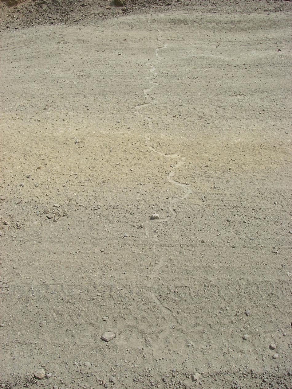 Snake crossing over Indian Truck Trail 5/23/2016