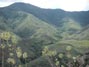 East slope of the Santa Ana Mountains seen from Indian Truck Trail 5/23/2016