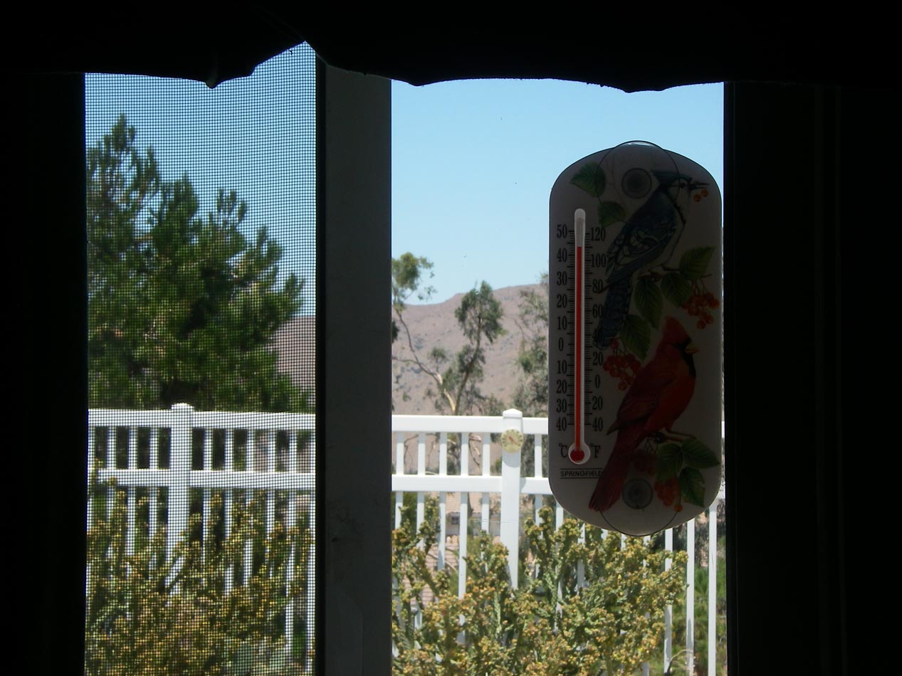 Oopsie! 110 here in Temescal Vally first day of summer Monday 6/20/2015