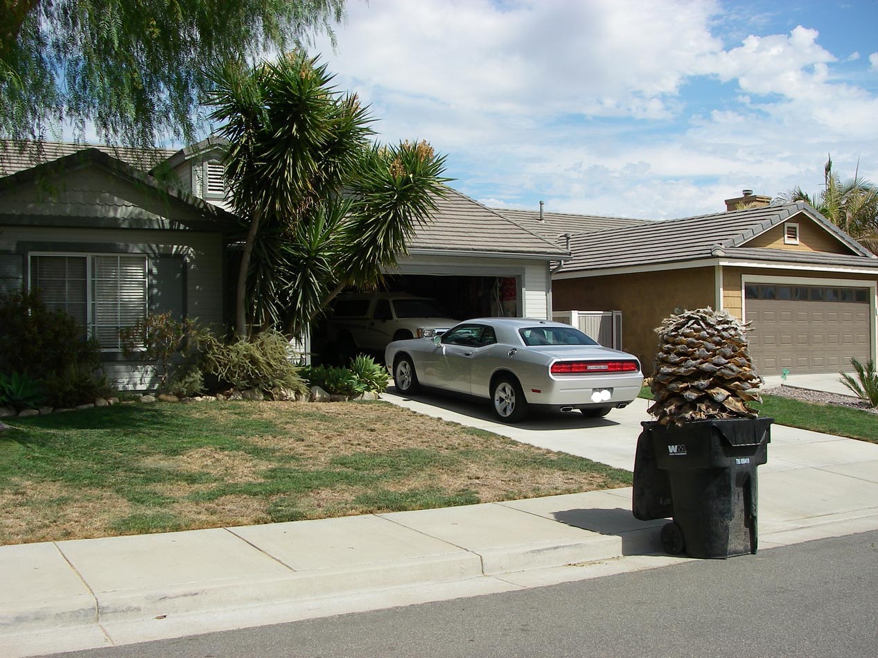 Agave stump ready for pickup 9/19/2016 