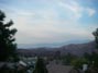 Backyard fence view 11/6/2016