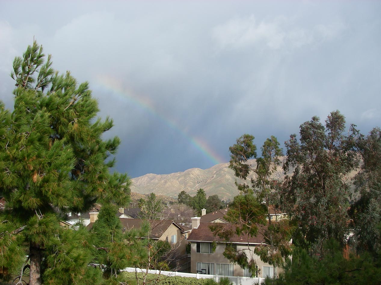 Rain almost over for a while.  Going to be a memorable wildflower year 1/23/2016