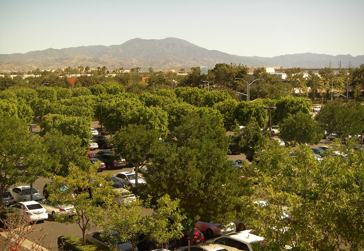 View from my 3rd floor office window in Irvine 3/6/2018