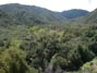 Went hiking in the local canyon behind our neighborhood 3/24/2018