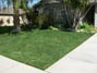 My lawn back to normal after drought driven water restrictions were relaxed 4/8/2018 