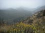 The hike up Indian Truck Trail this morning was drizzly and cold 5/12/2018