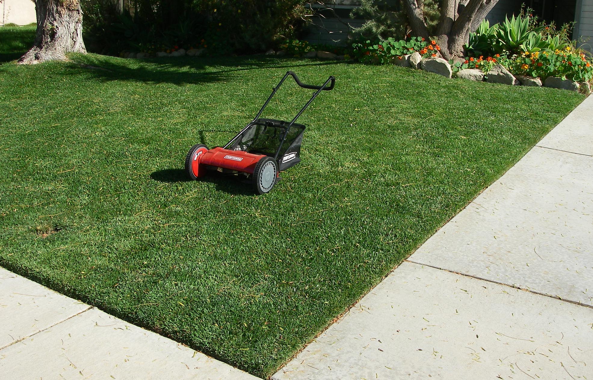The Craftsman 16-inch.  World's finest mower 6/9/2018