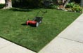 The Craftsman 16-inch.  World's finest mower 6/9/2018