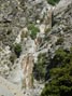 San Antonio Falls near Mt. Baldy 6/23/2018