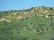Superbloom just starting along the 241 toll road through the windshield 2/7/2019