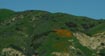 Superbloom just now starting in Chino Hills through the windshield along the 91 freeway 2/7/2019