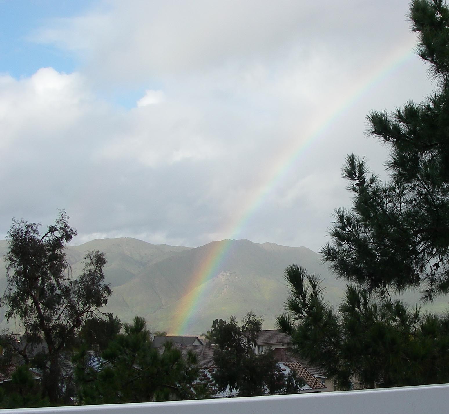 Rainbow out my back yard 2/17/2019