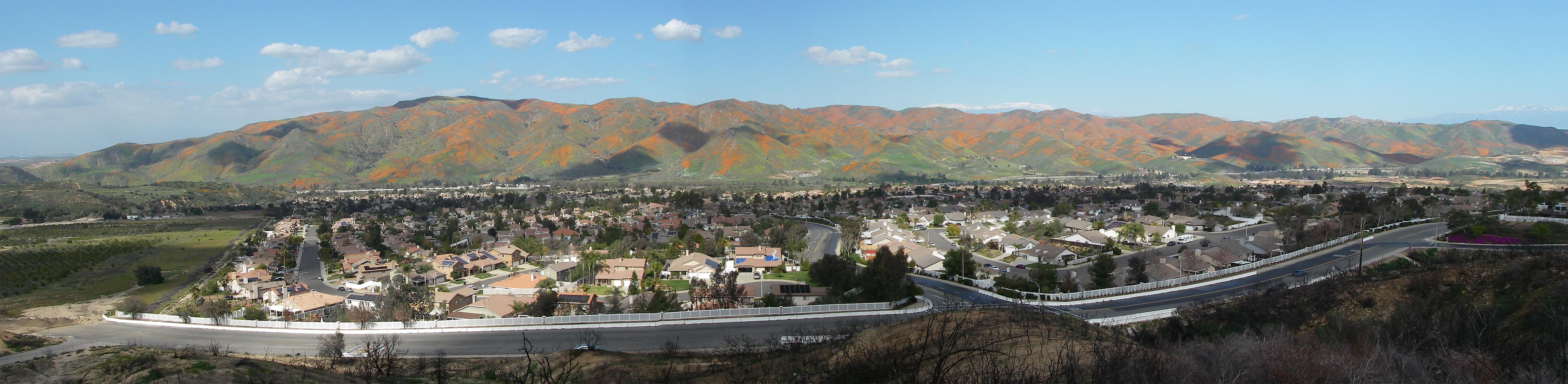 Panorama of my 'hood with superbloom of poppies going strong 3/13/2019