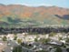 My 'hood with superbloom of poppies and Mt. San Gorgonio in the background 3/13/2019